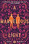 Cover of A Marvellous Light. 