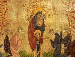 Cover of Probably Still the Chosen One. 