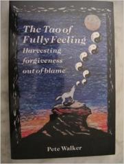 Cover of The Tao of fully feeling. 