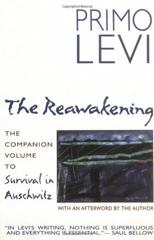 Cover of The Reawakening. 