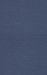 Cover of Riddley Walker. 